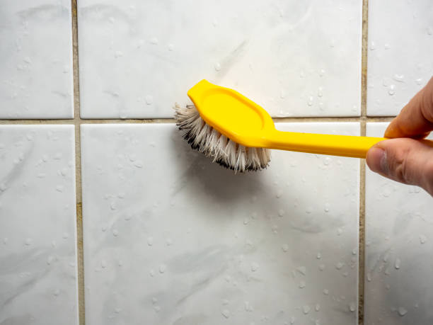 Best Home Mold Removal  in Lakeway, TX