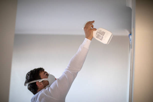 Best Mold Remediation  in Lakeway, TX