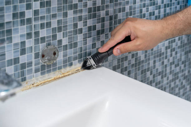 Best Toxic Mold Removal  in Lakeway, TX