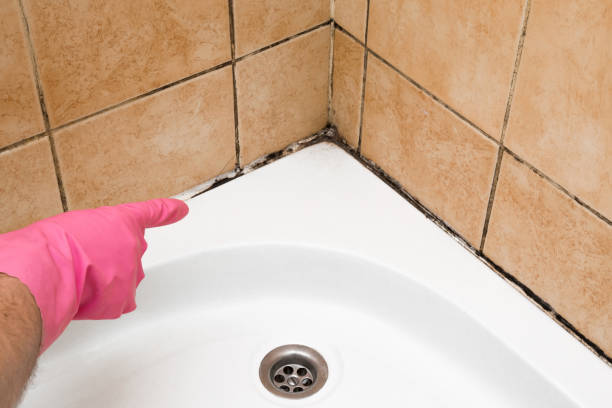 Best Fast Mold Removal  in Lakeway, TX